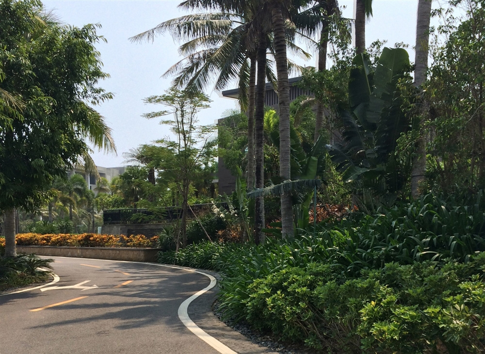 小区园林3