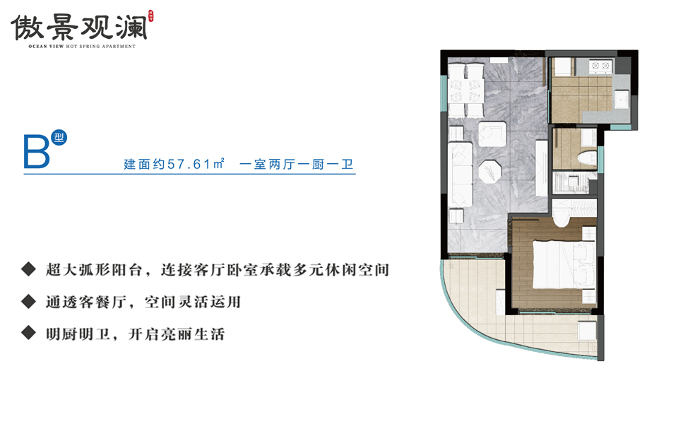 傲景观澜B户型 一室两厅一厨一卫 