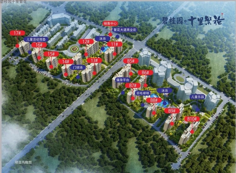 碧桂园十里繁花鸟瞰图