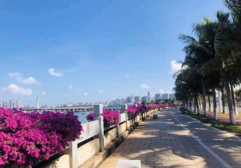 周边景色