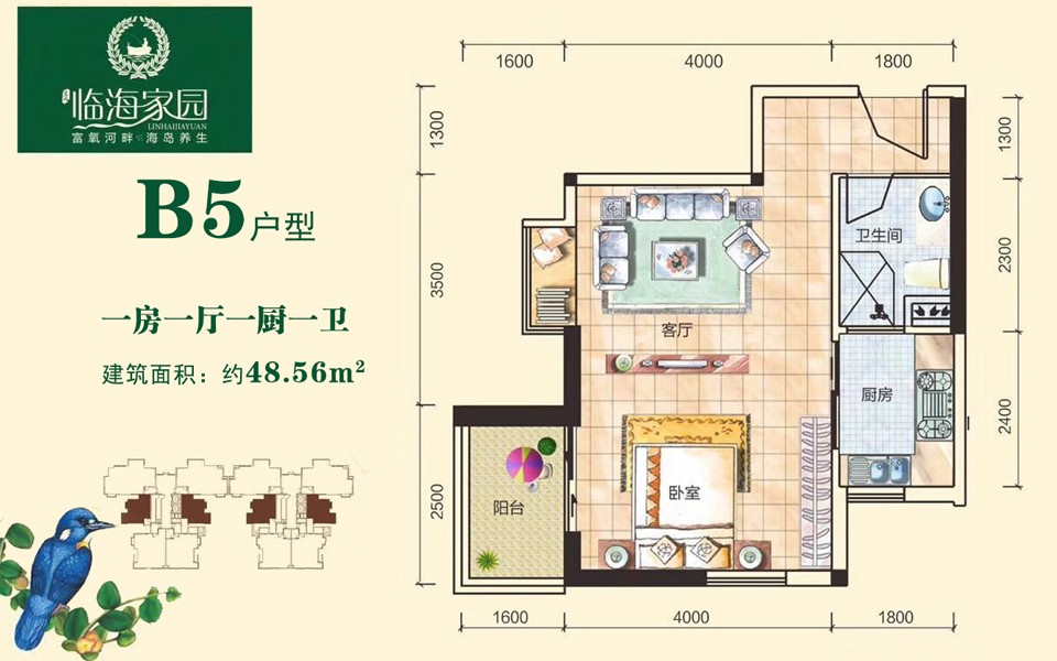 临海家园B5户型