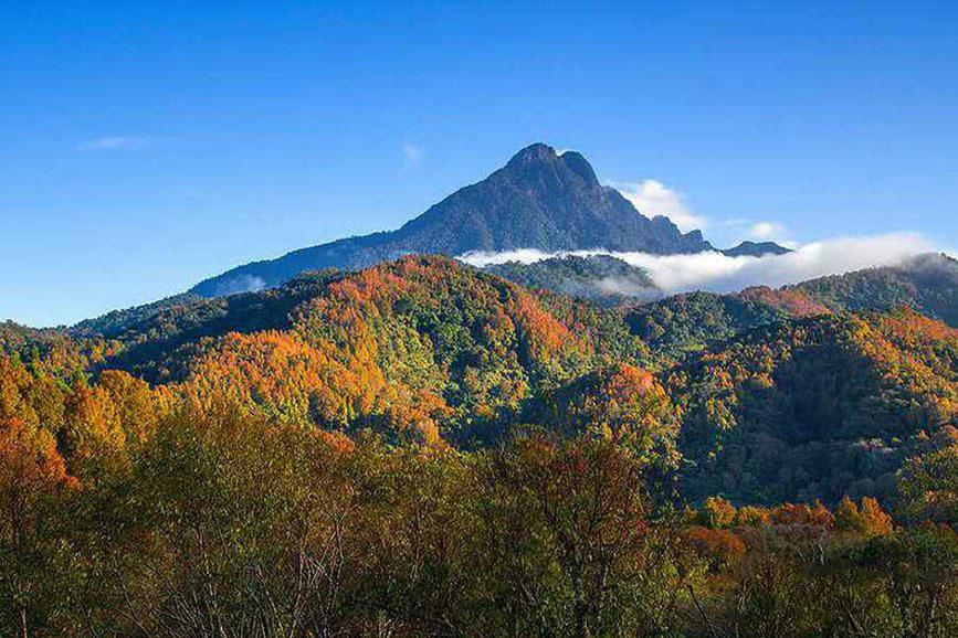 五指山