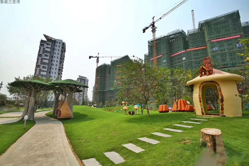 实景图