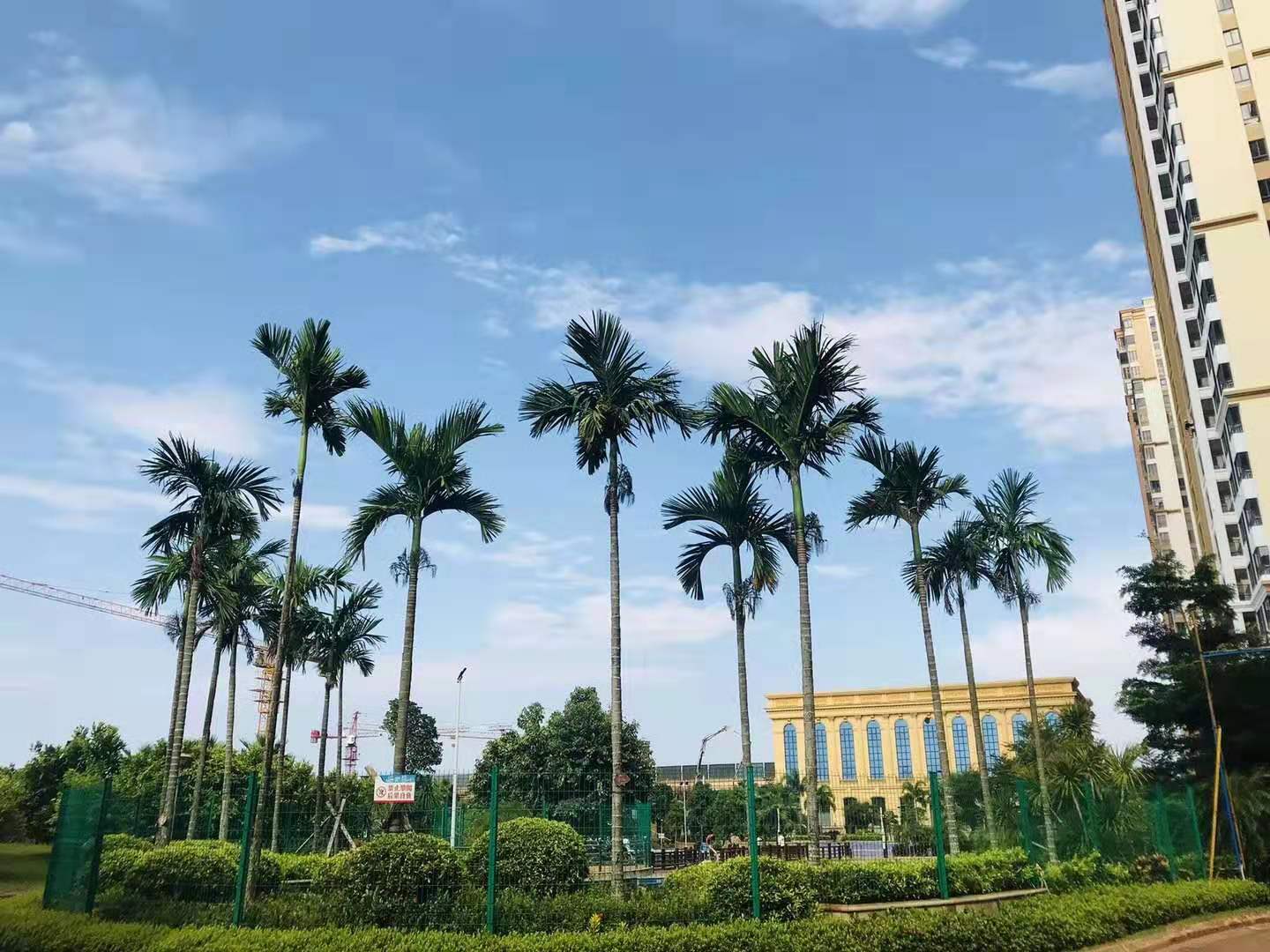 实景图