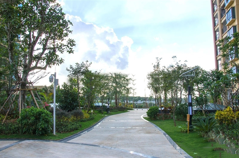 实景图6