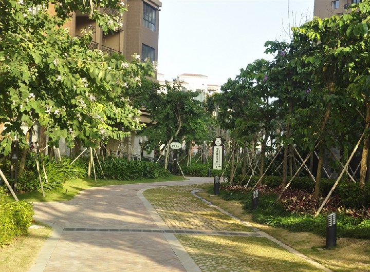 小区园林街道