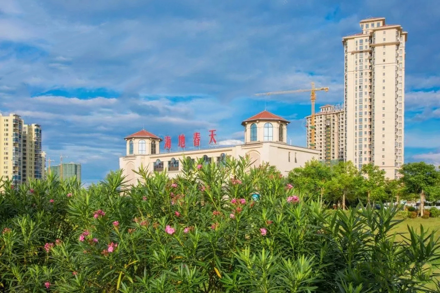 海地春天实景图13