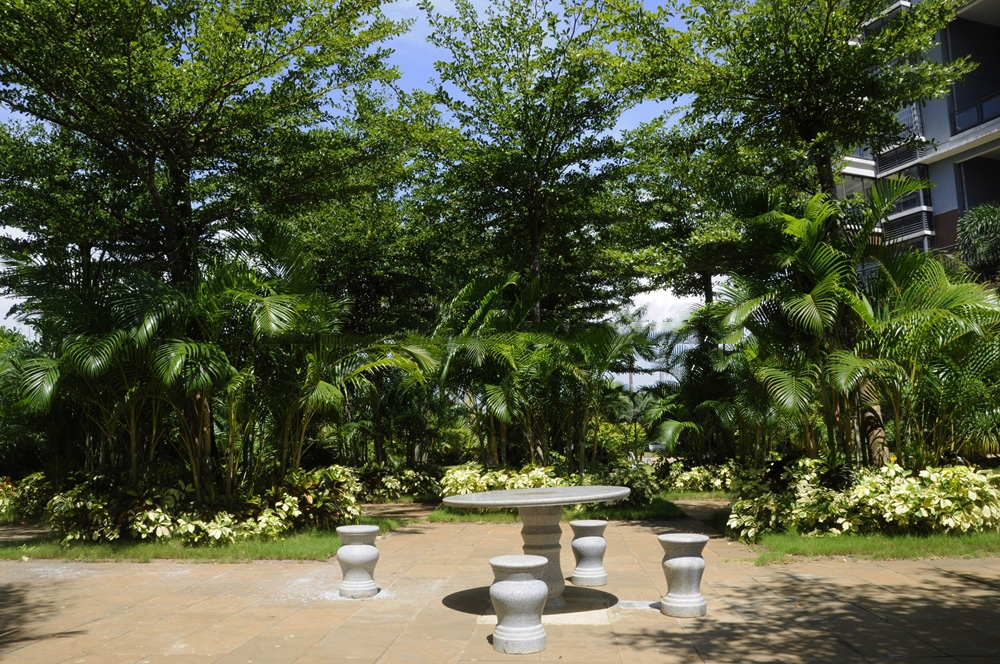 小区园林绿化实景