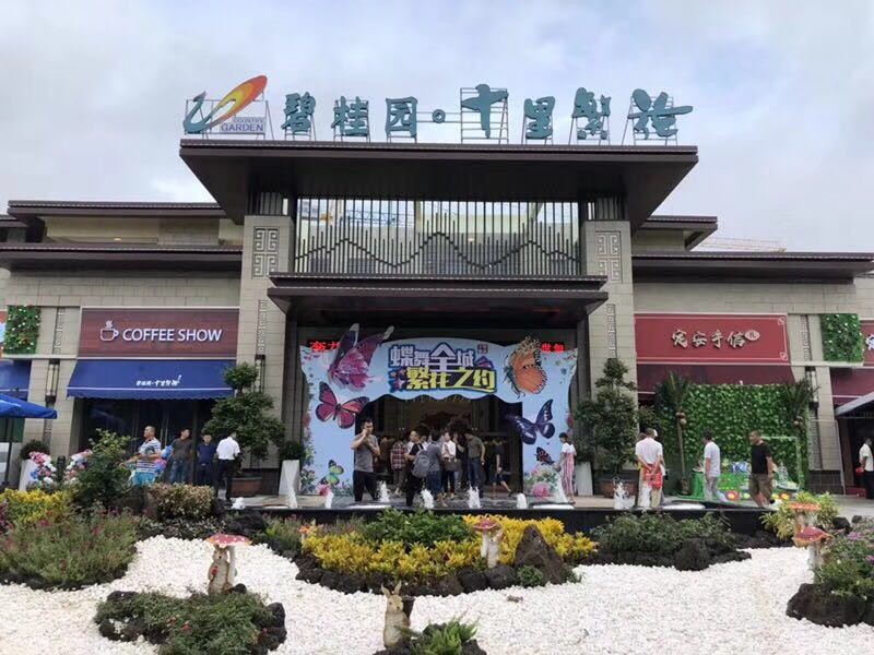 实景图4