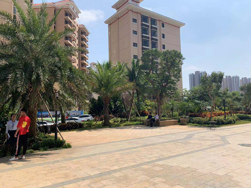 粤泰福嘉花园实景图6