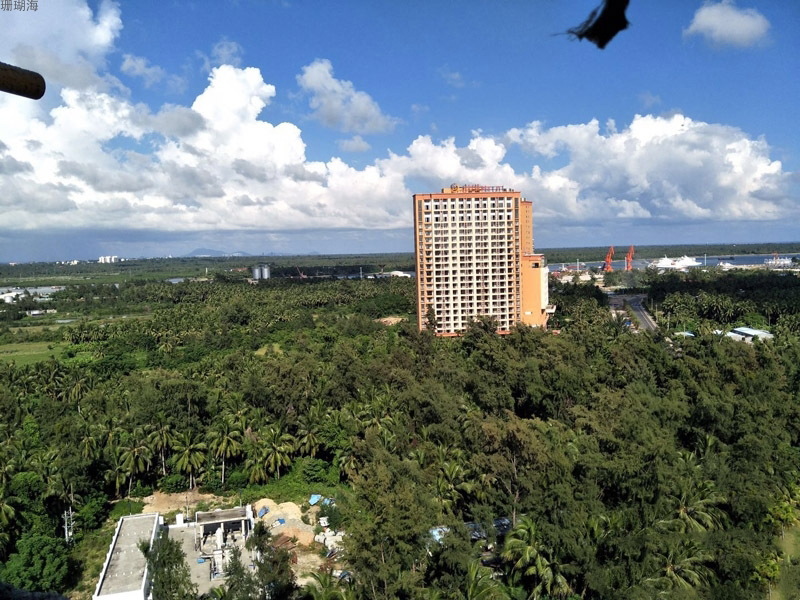实景图5