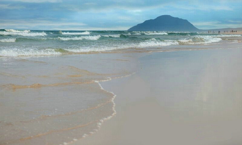 世茂怒放海实景图06