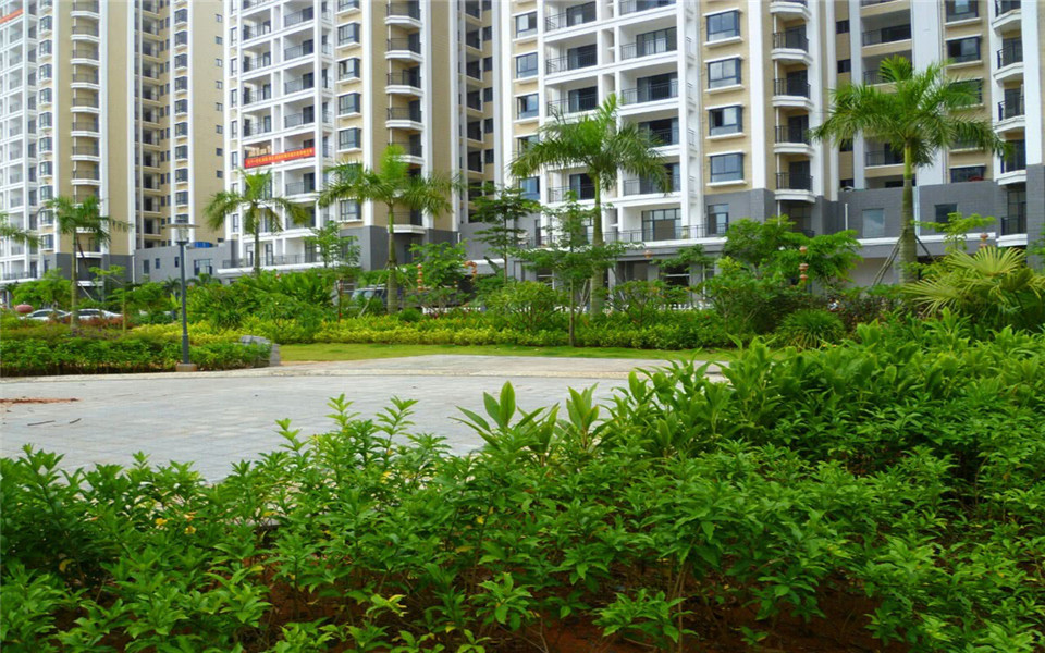 实景图5