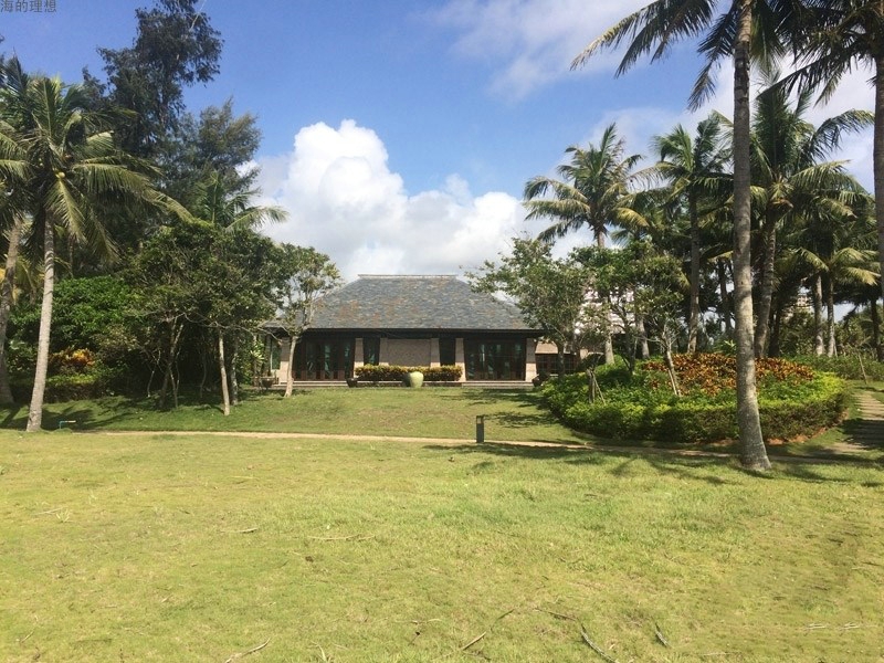 海的理想实景图05