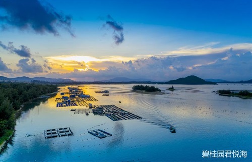 实景图3