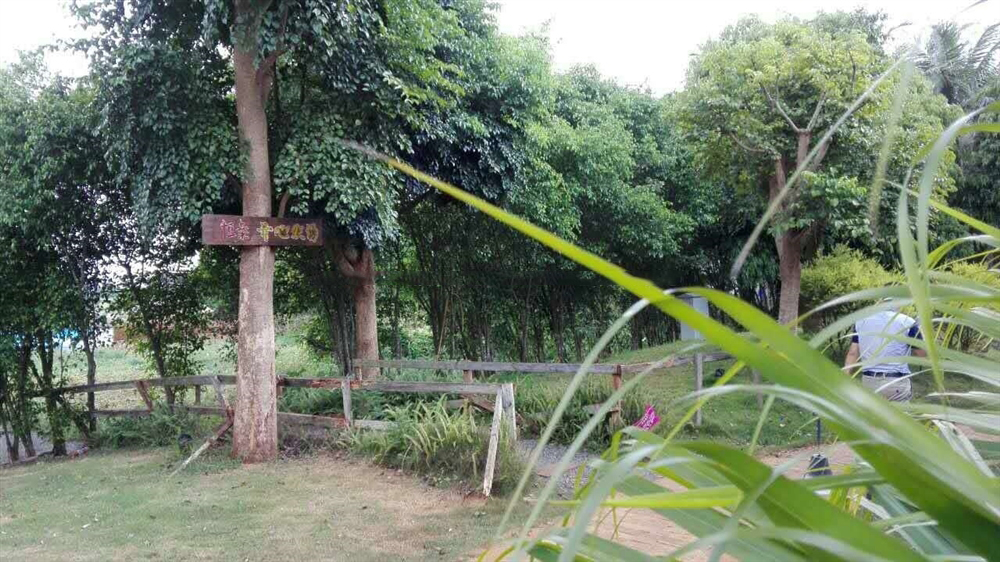 小区配套：开心农场