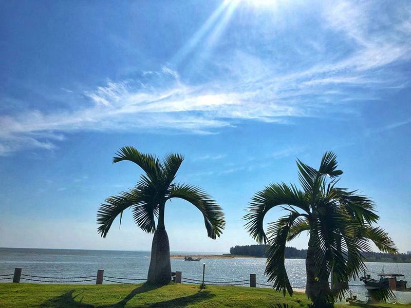 富力悦海湾配套图1