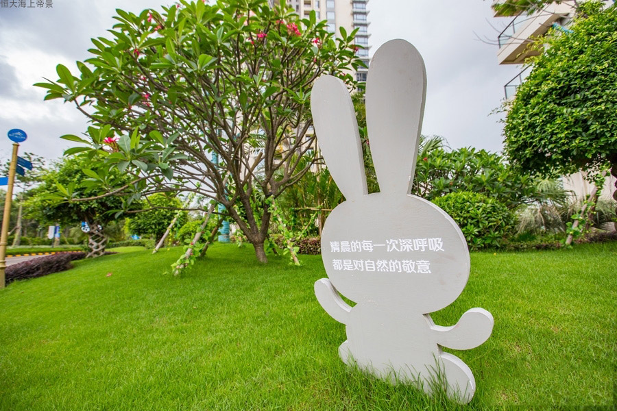 恒大海上帝景实景图  0