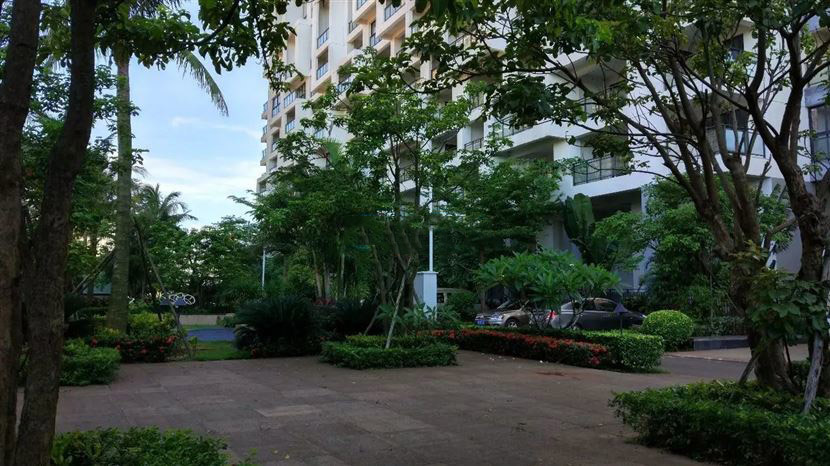 小区园林实景图