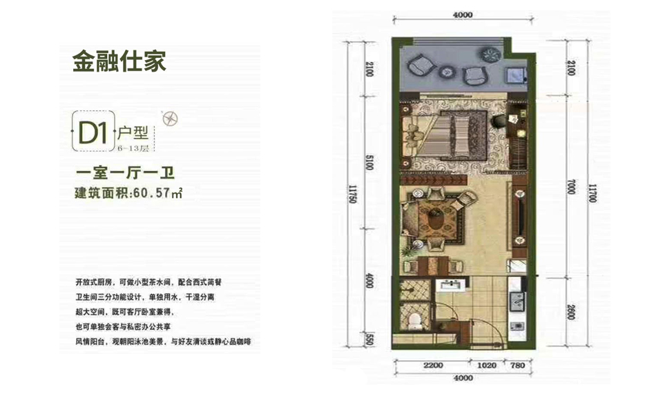 D1户型 一室一厅
