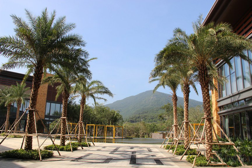 小区绿化2