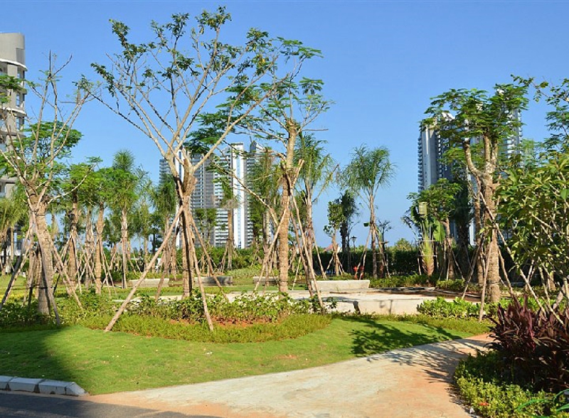 博鳌金湾实景图18