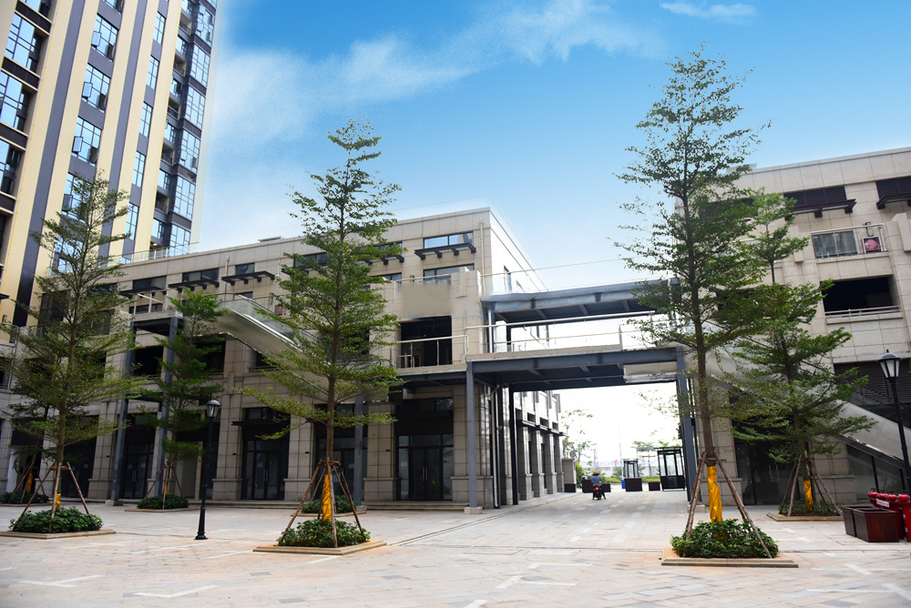 绿地海长流实景图09