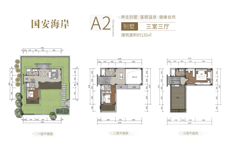A2-02别墅户型 3室3厅1卫 