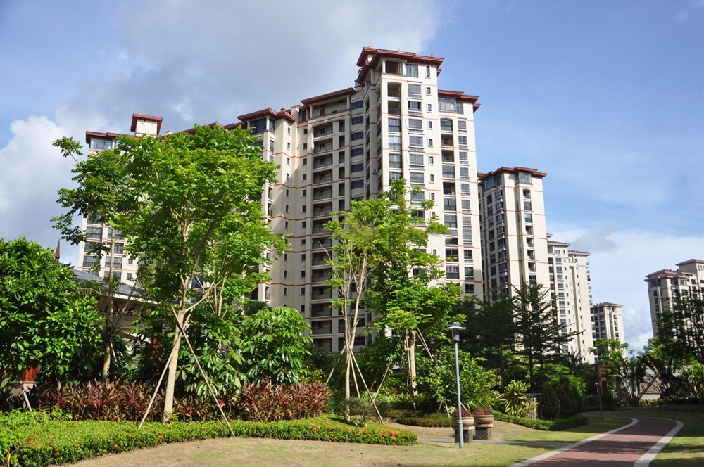 小区楼栋实景