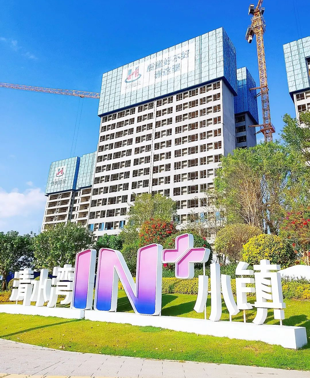 实景图