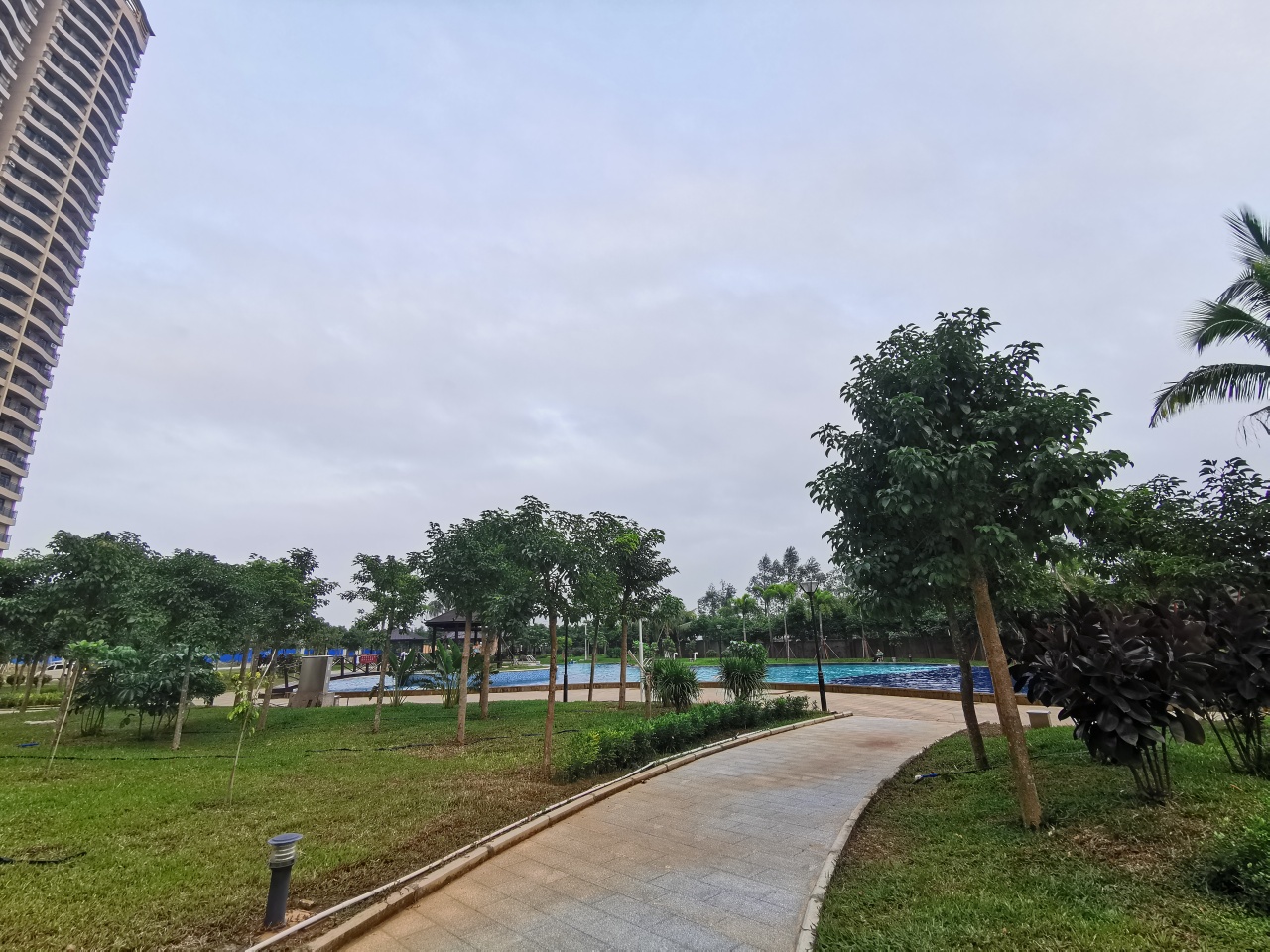 实景图-绿化