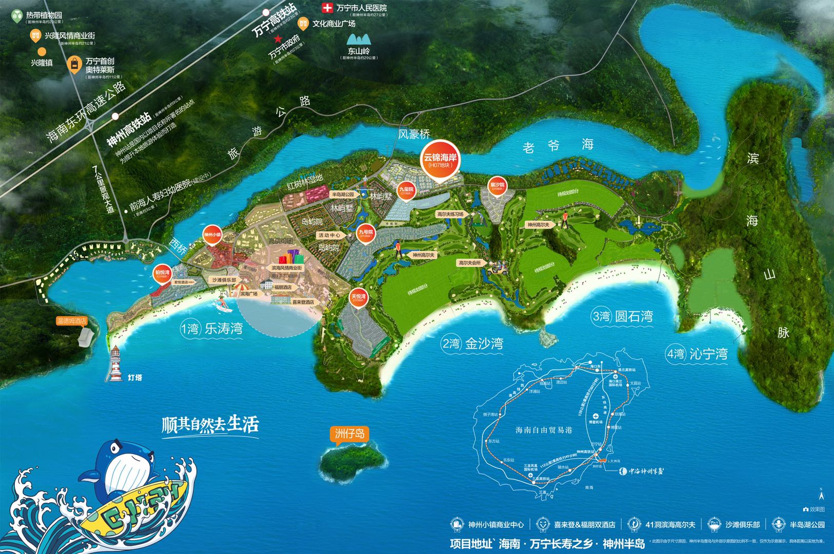总鸟瞰图