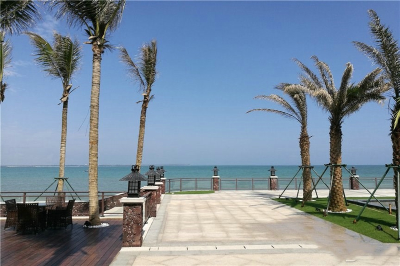 椰风浪琴实景图09