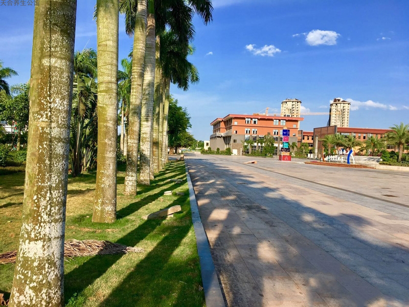 实景图11