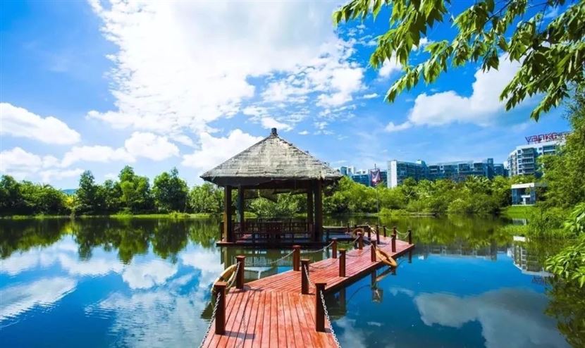 小区园林实景图