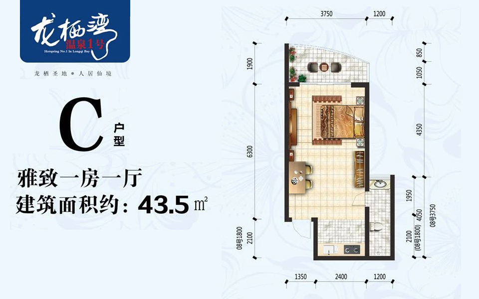 C户型 1房1厅