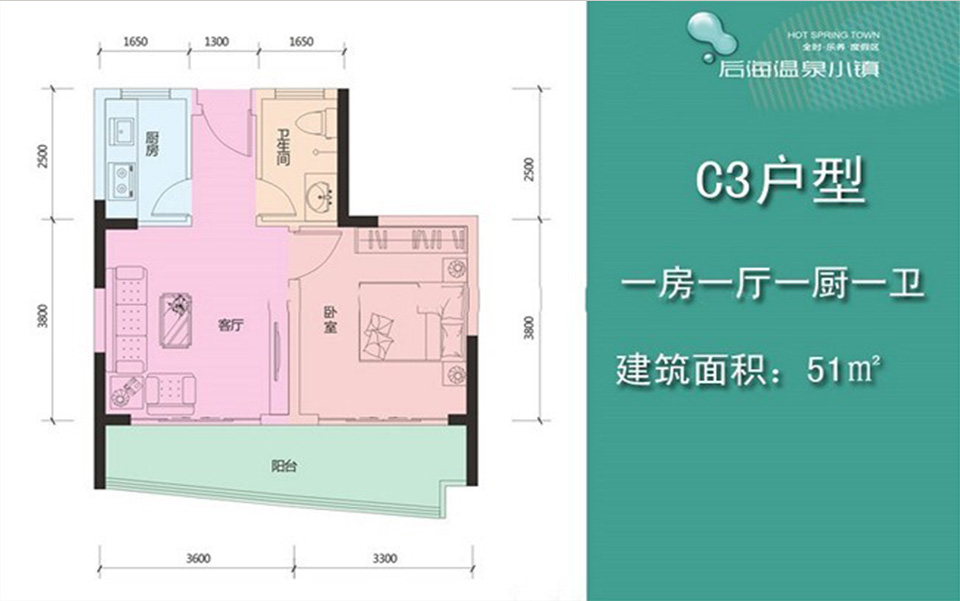 温泉小镇C3户型1室1厅1卫1厨51.00 m2