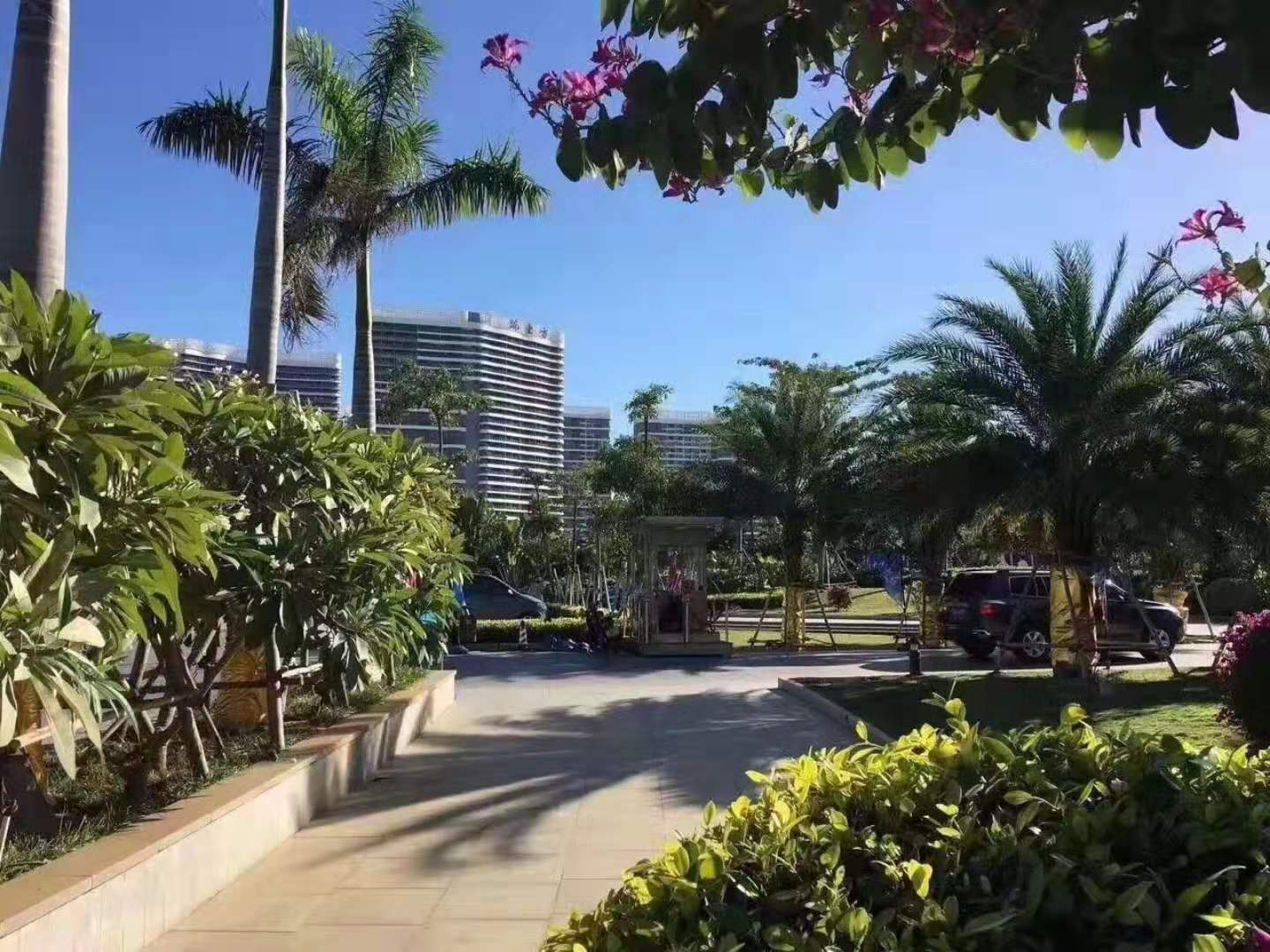 实景图3