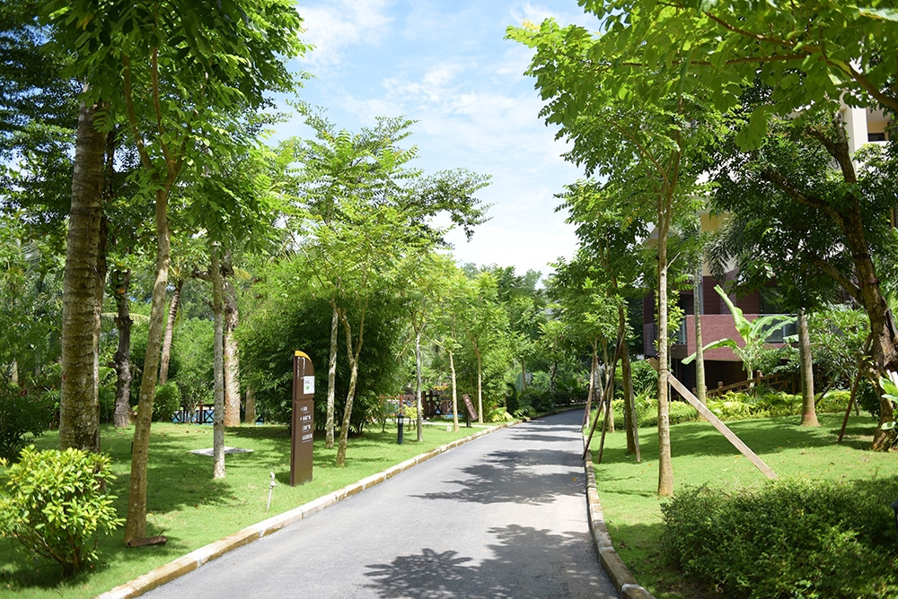社区道路1