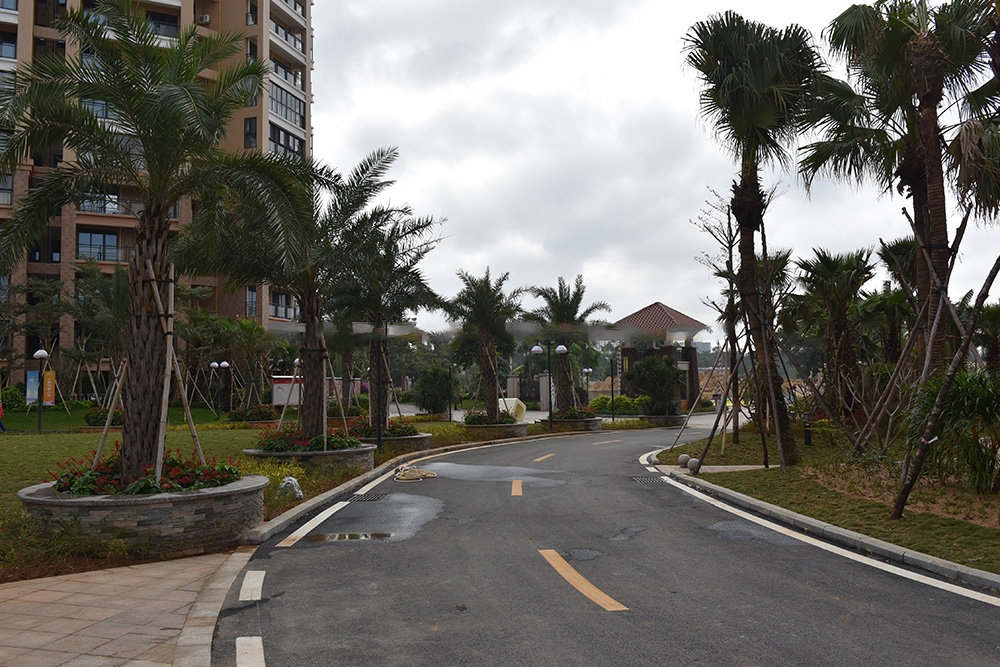 社区道路