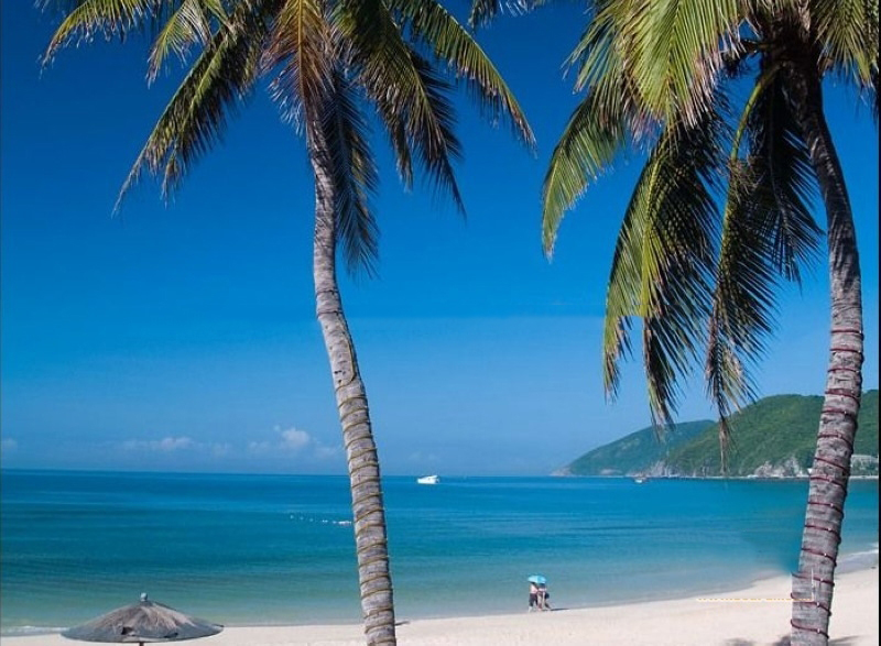 小区周边配套：大东海景色
