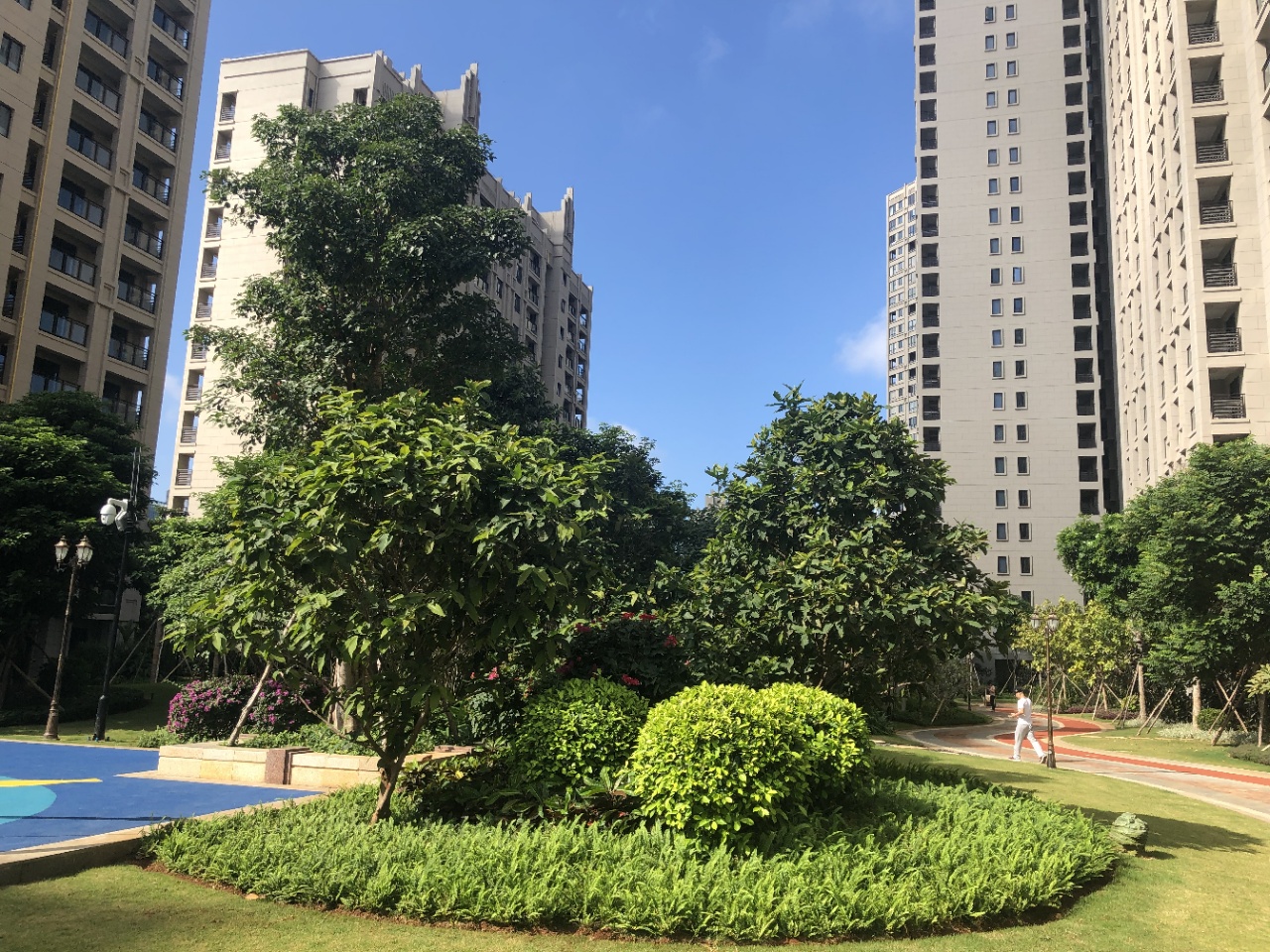 实景图19