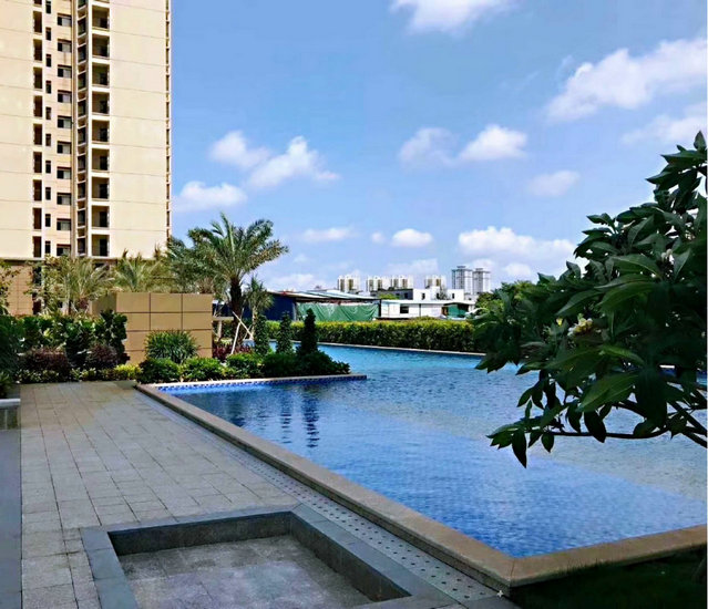 实景图9
