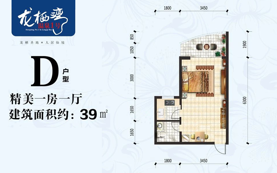 D户型 1房1厅