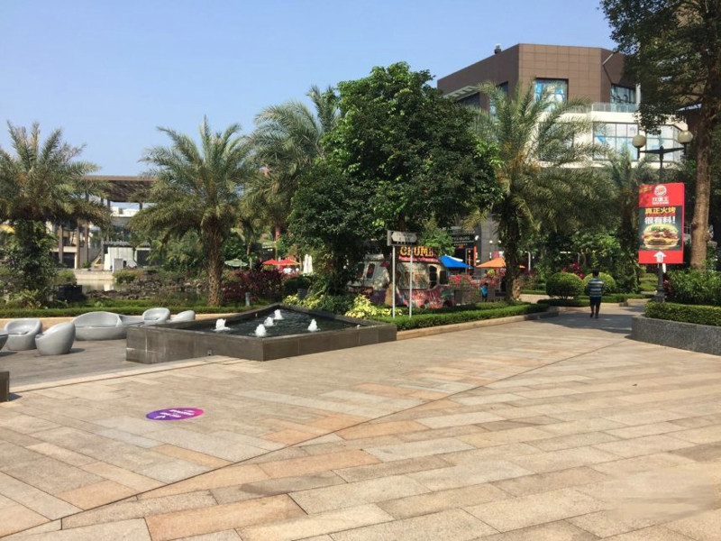 融创观澜湖公园壹号实景图17