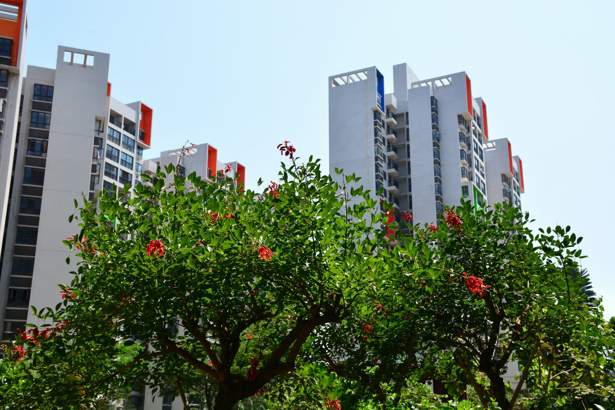 三期小区实景图2