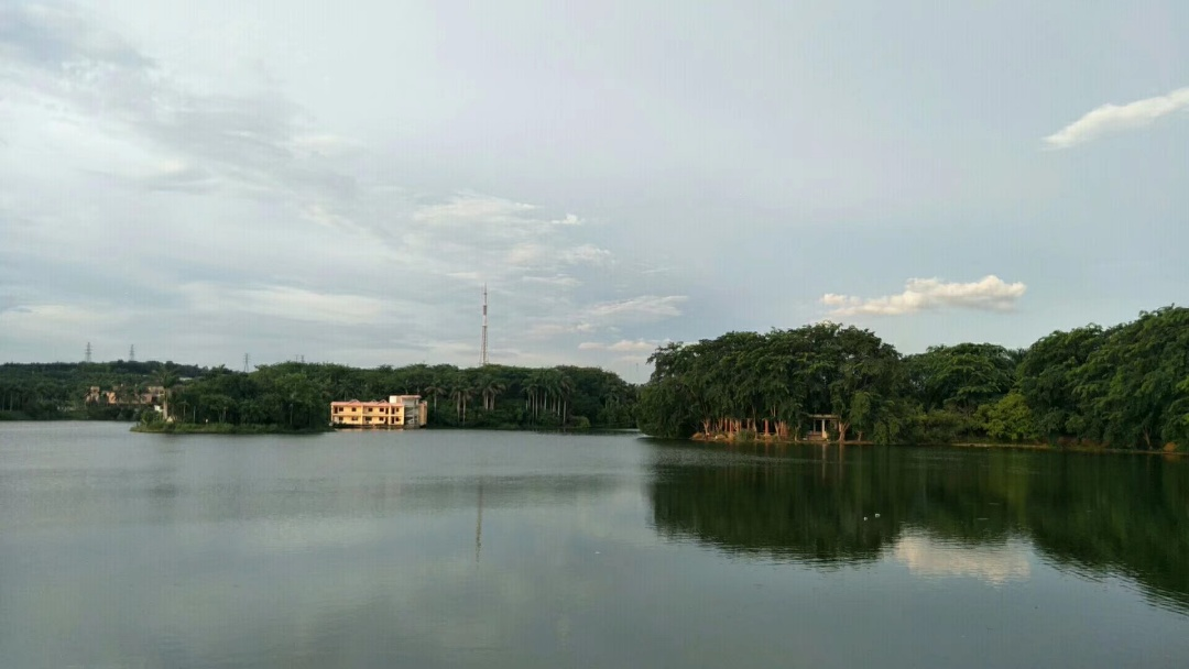实景图2