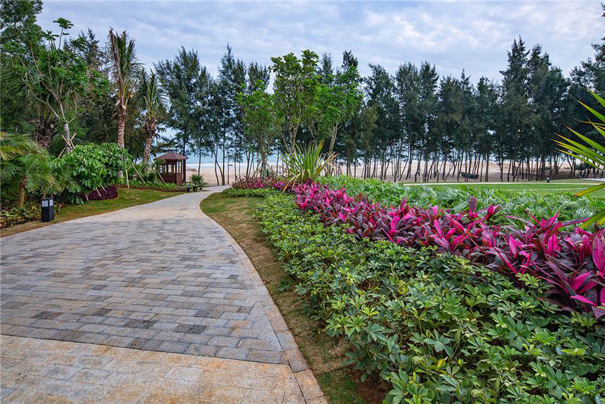 小区绿化实景图1