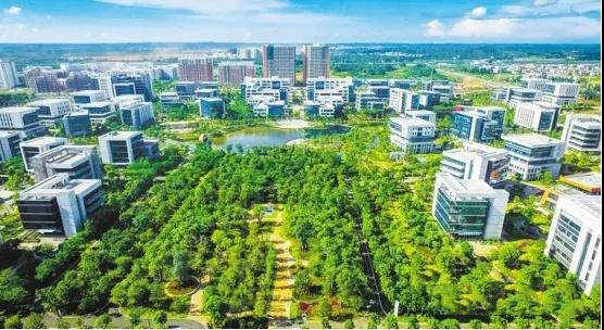实景图