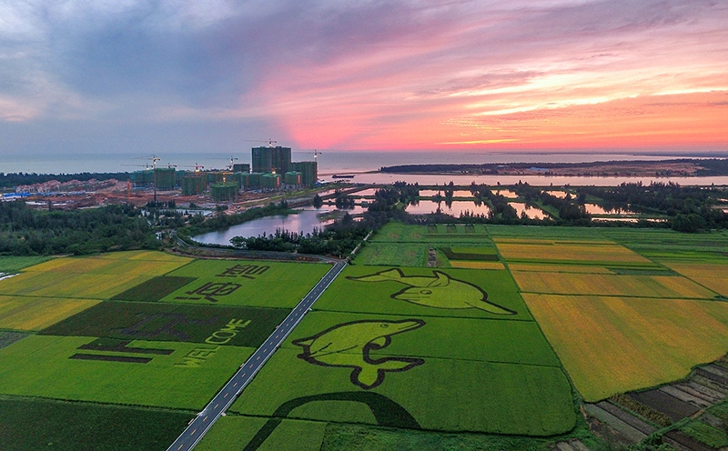 富力悦海湾实景图20